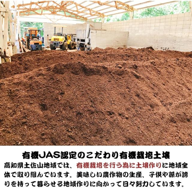 有機栽培を行うための土壌作り