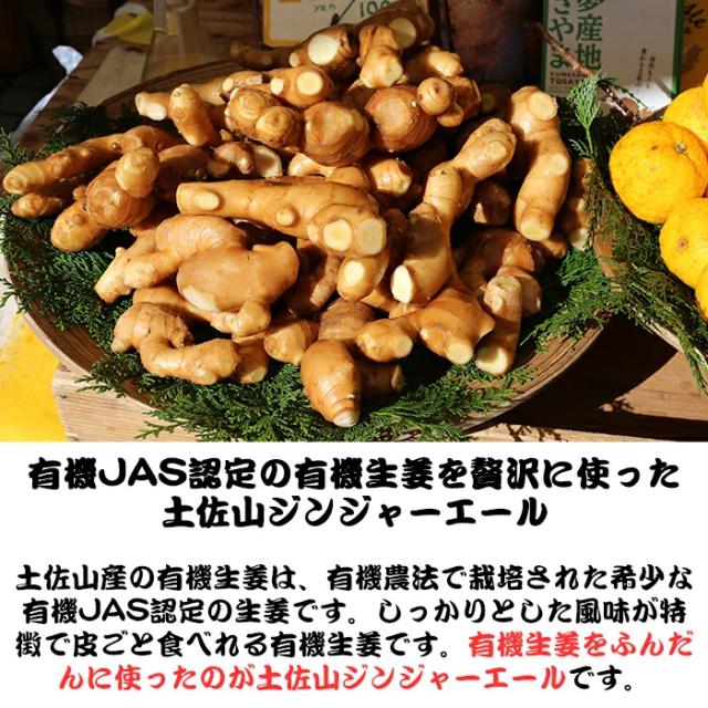有機生姜をふんだんに使ったのが土佐山ジンジャーエール