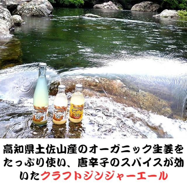 有機生姜をふんだんに使ったのが土佐山のクラフトジンジャーエール