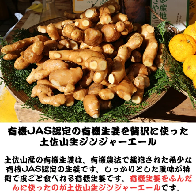 オーガニック生姜をふんだんに使ったジンジャーエール