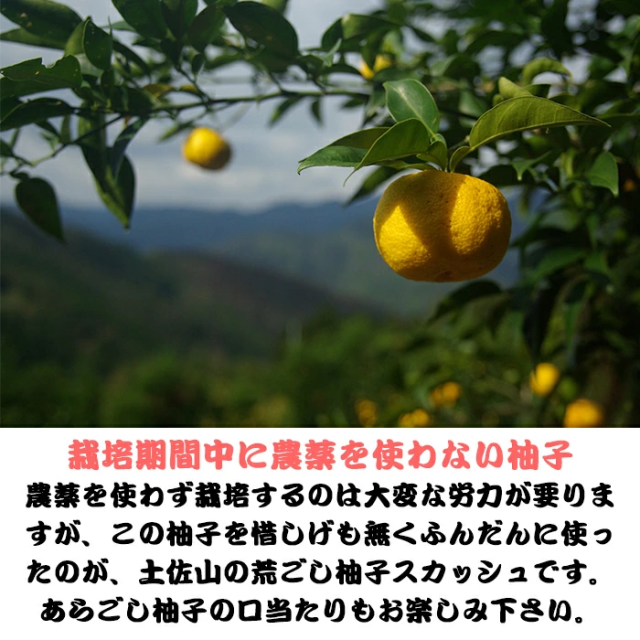 シャンディーガフにもオススメ