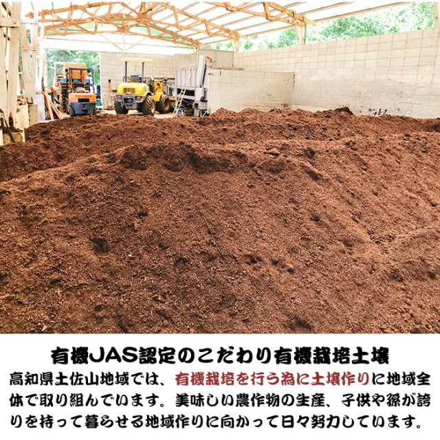 地域で作る有機土壌