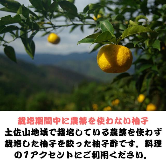 栽培期間中に農薬を使わない柚子