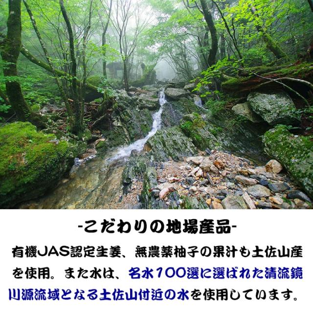 名水100選に選ばれた清流鏡川原流域となる土佐山付近の水
