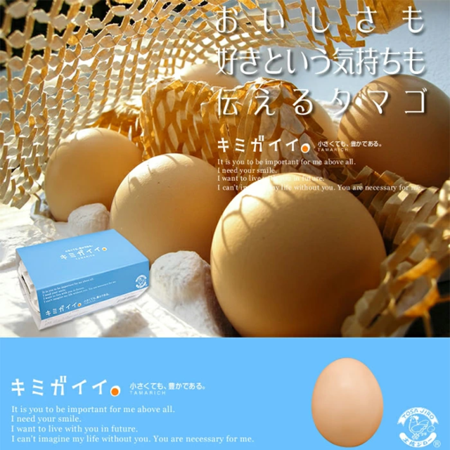 土佐ジローの卵キミガイイ