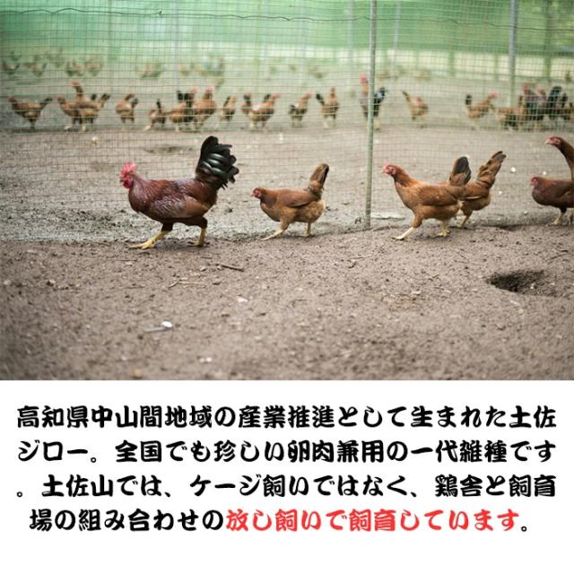 放飼で飼育しています