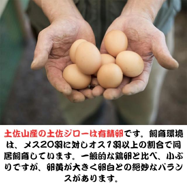 土佐山産の土佐ジローの卵は有精卵です