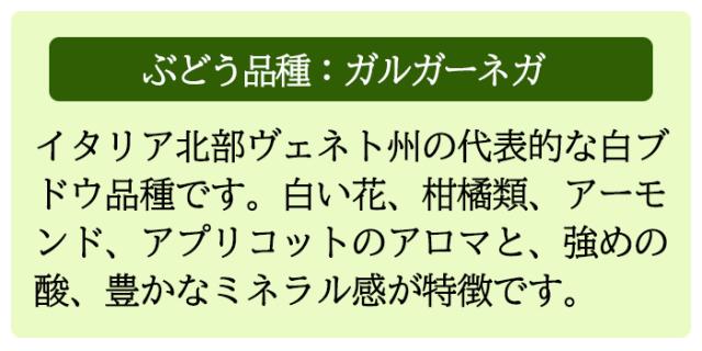 ガルガーネガ