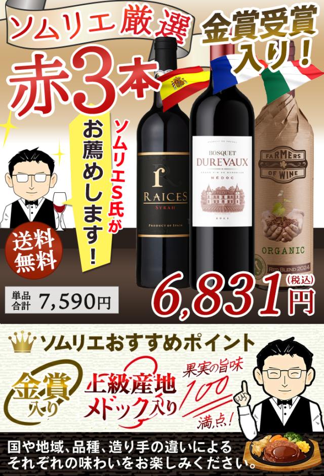 ワイン セット ワインセット 赤 白 泡 赤ワイン 白ワイン スパークリング ミックス 12本