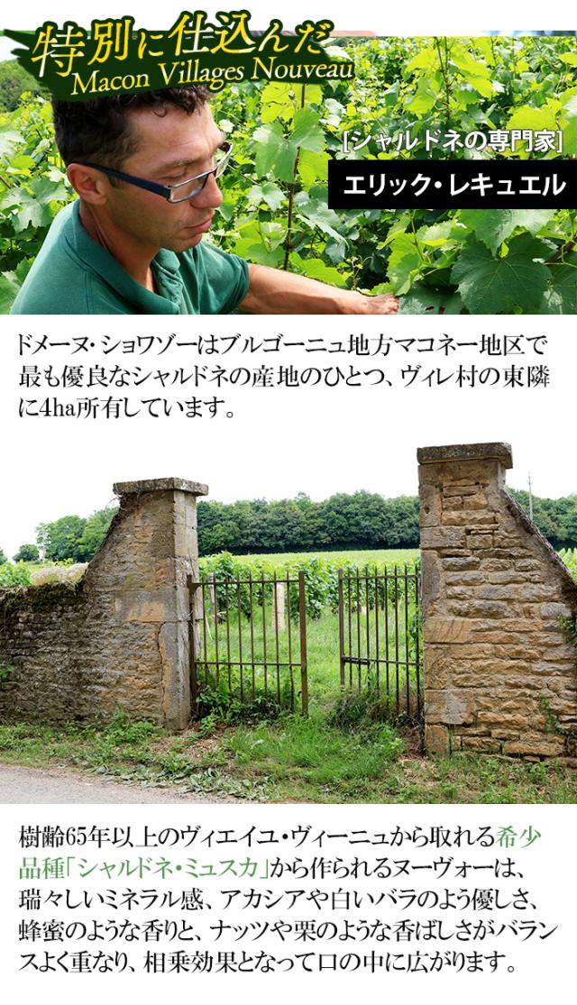 ボジョレーヌーボー 2025 ボージョレ ボジョレーヌーボー ボージョレヌーボー ボージョレ・ヌーヴォー ボジョレーヌーヴォー ボジョレー