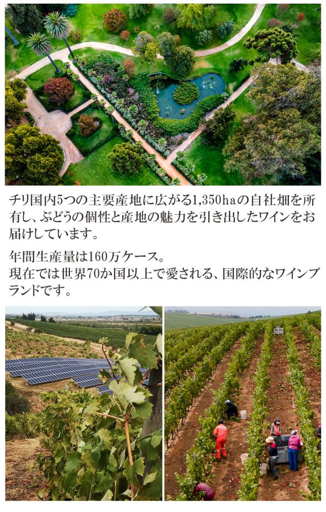 チリ ロゼス パークリング