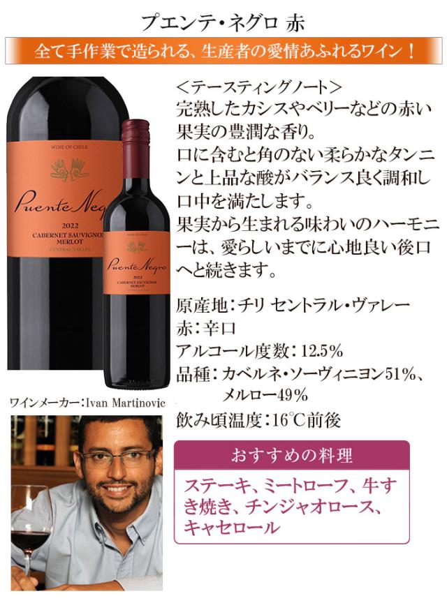 プエンテ・ネグロ 赤