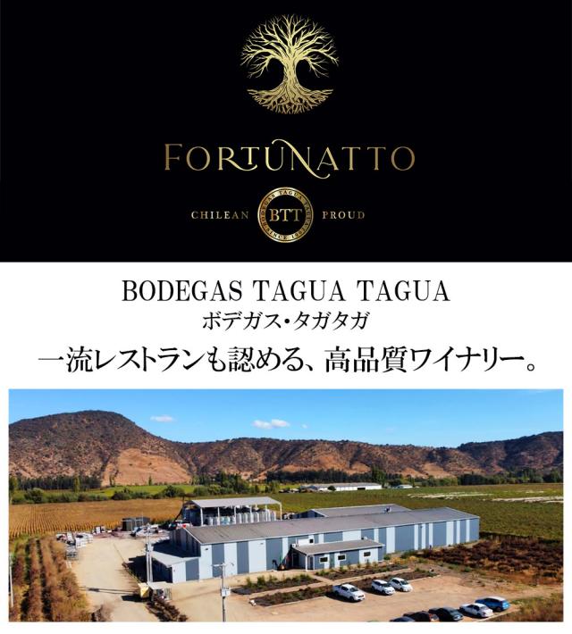 フォルトゥナート ヴィノ・フリッツァンテ ブランコ