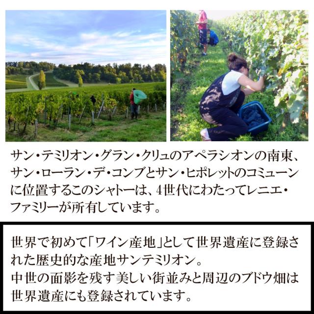 シャトー・オート・ノーヴ サン・テミリオン グラン・クリュ 2020