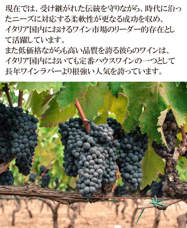 コッレ・デ・チプレッシ ソアヴェ DOC