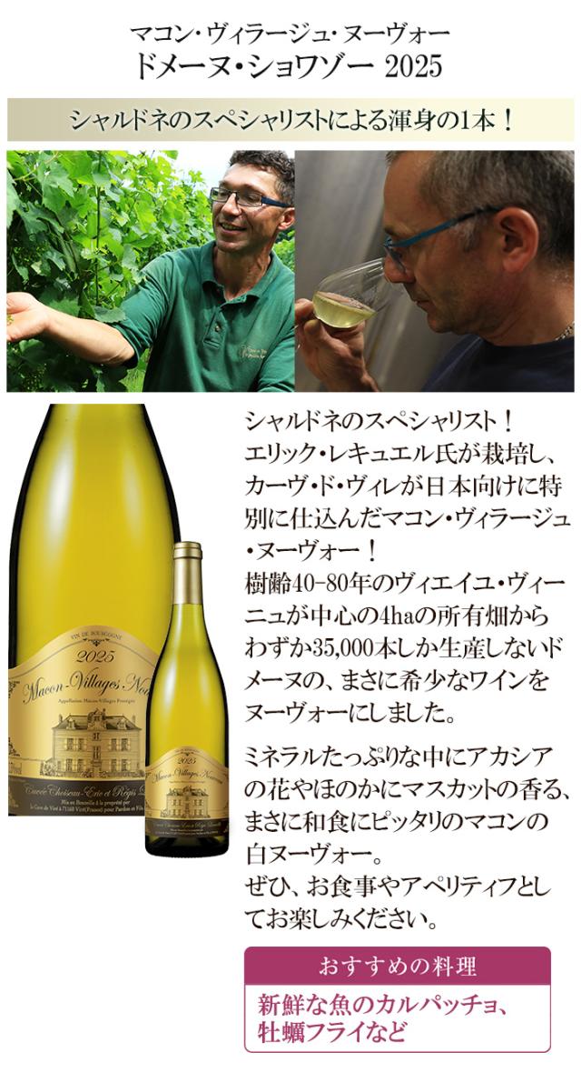 ボジョレーヌーボー 2025 ボージョレ ボジョレーヌーボー ボージョレヌーボー ボージョレ・ヌーヴォー ボジョレーヌーヴォー ボジョレー