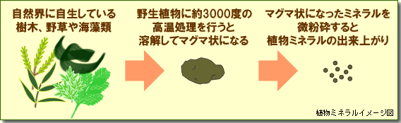 青汁】こだわり青汁66包×3個 2分包プレゼント (還元力青汁) 無農薬 非