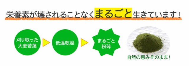 青汁】こだわり青汁66包×3個 2分包プレゼント (還元力青汁) 無農薬 非