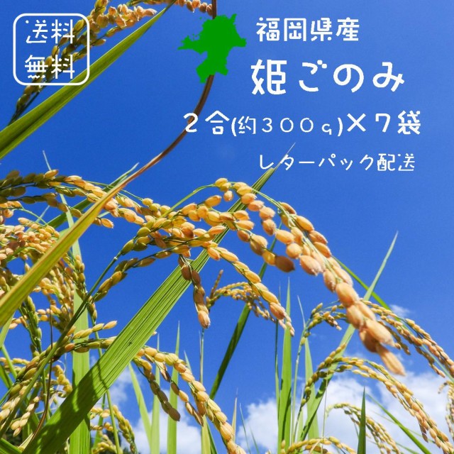 特別栽培米　※２合ごとにの通販はau　送料無料】福岡県産　2合(300g)×14　PAY　姫ごのみ　白米　マーケット－通販サイト　袋【＜免疫力アップ＞玄米・分づき精米対応可】　PAY　令和２年産　マーケット　新飼宗一郎商店　au