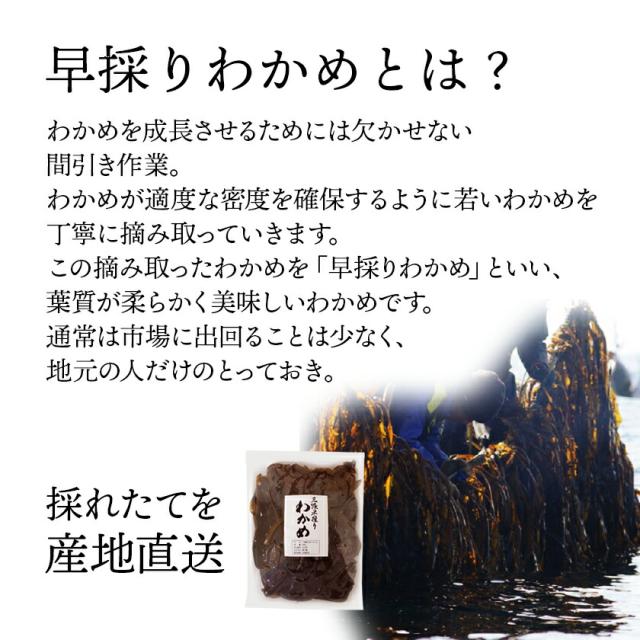早採りわかめ