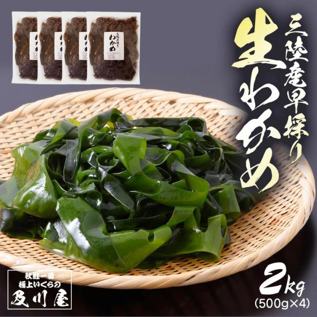 三陸 早採り 生わかめ 2kg（500g×4）
