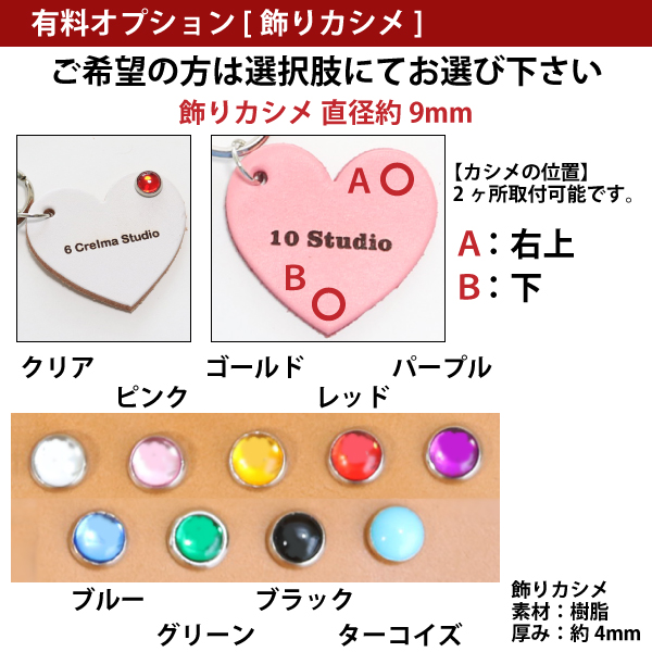 有料オプション