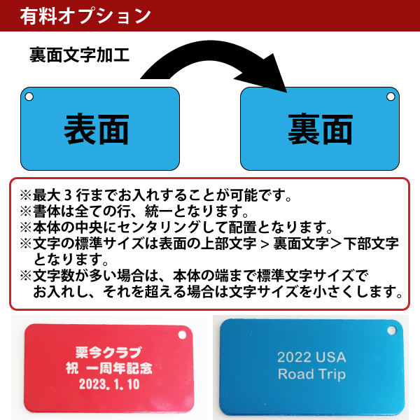 有料オプション