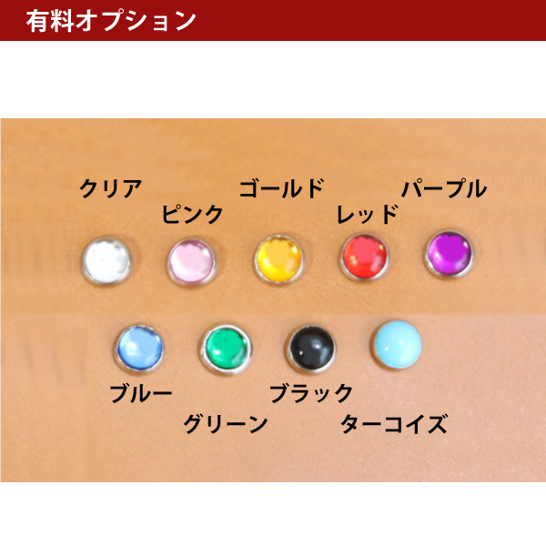 有料オプション2