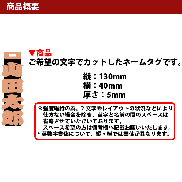 概要