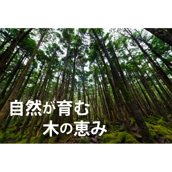 見出し