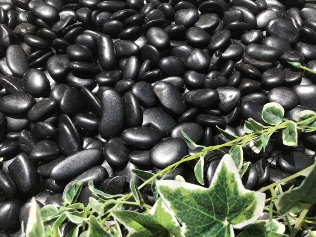 黒玉石 磨き 光沢 磨き砂利 玉石 黒 約10-15ｍｍ 20kg 庭 和風 玉石黒