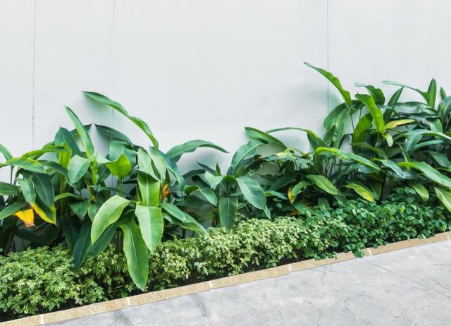 砂利芝生の庭用見切り材