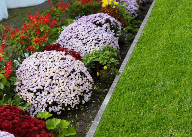 砂利芝生の庭用見切り材