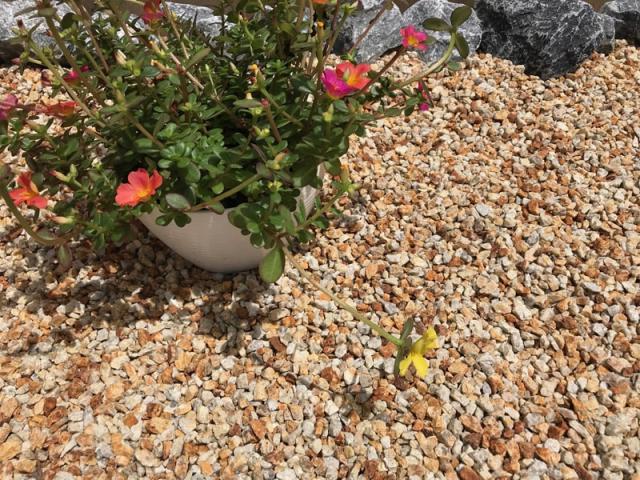 砂利 玉石 洋風 庭 玉砂利