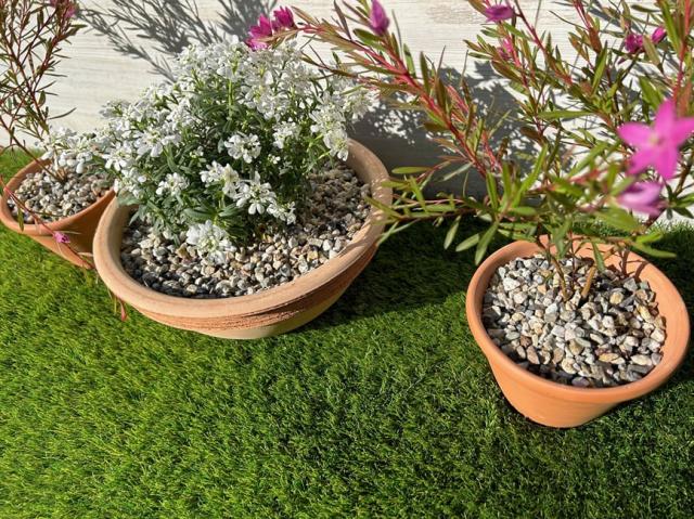 砂利 洋風 庭 砂利 砕石