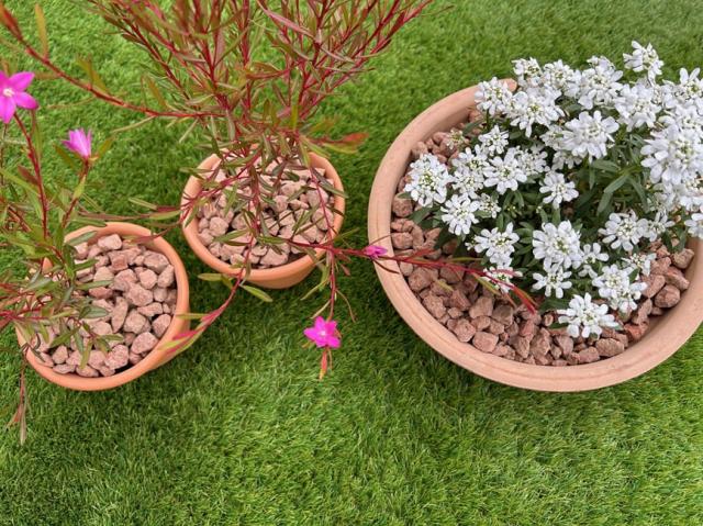 砂利 ブラウン 茶色 洋風 庭 砂利 砕石