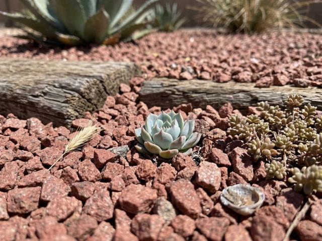 砂利 ブラウン 茶色 洋風 庭 砂利 砕石