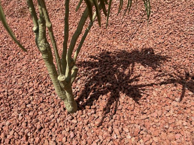 砂利 ブラウン 茶色 洋風 庭 砂利 砕石