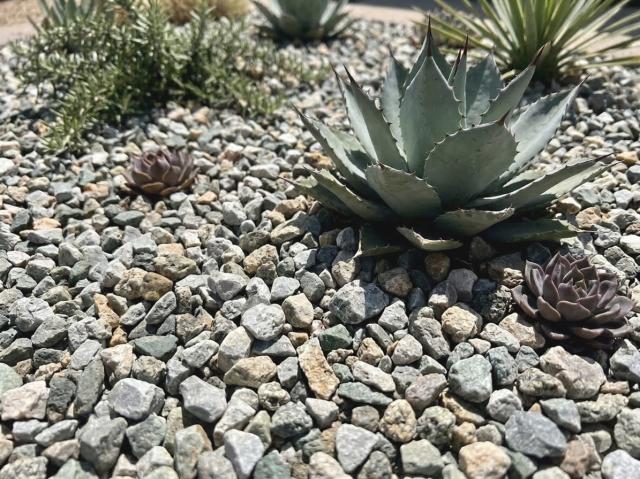 砂利 ミックス 洋風 庭 砂利 砕石