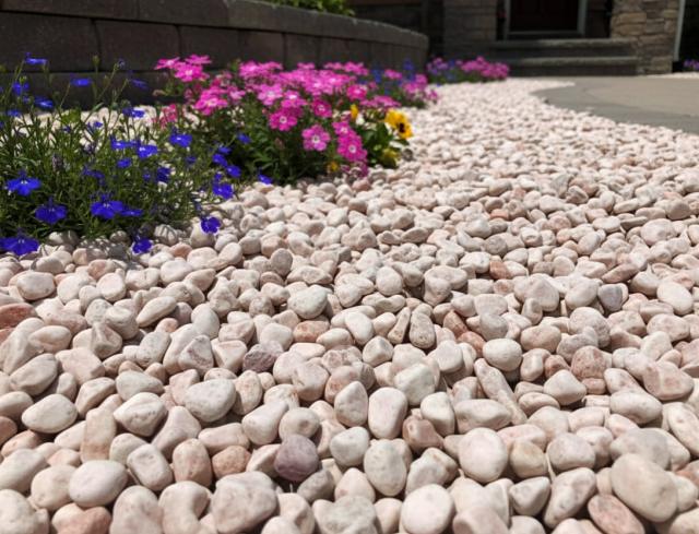 砂利 玉石 洋風 庭 玉砂利石