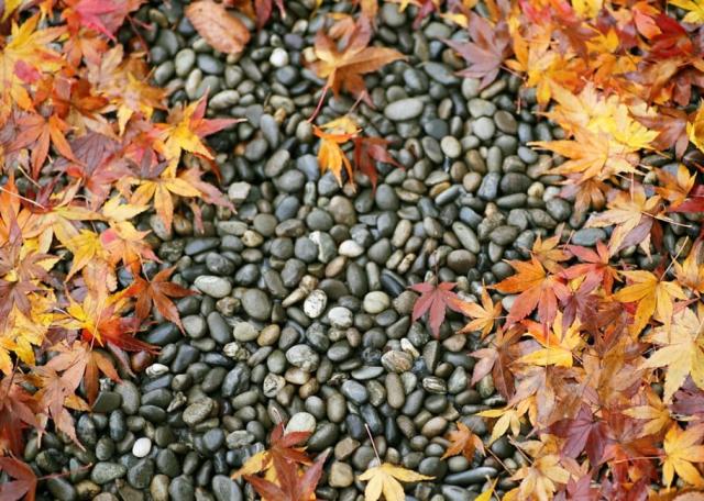 砂利 玉石 洋風 庭 玉砂利石