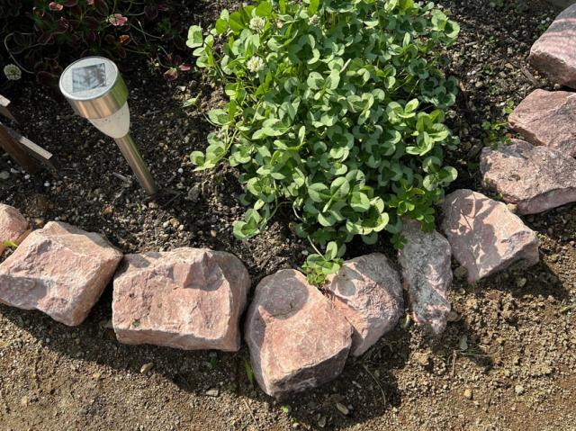 ゴロタ玉石の施工写真