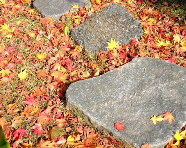 ステップストーン 飛び石