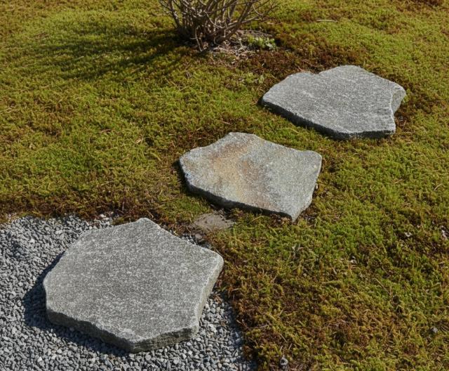 ステップストーン 飛び石