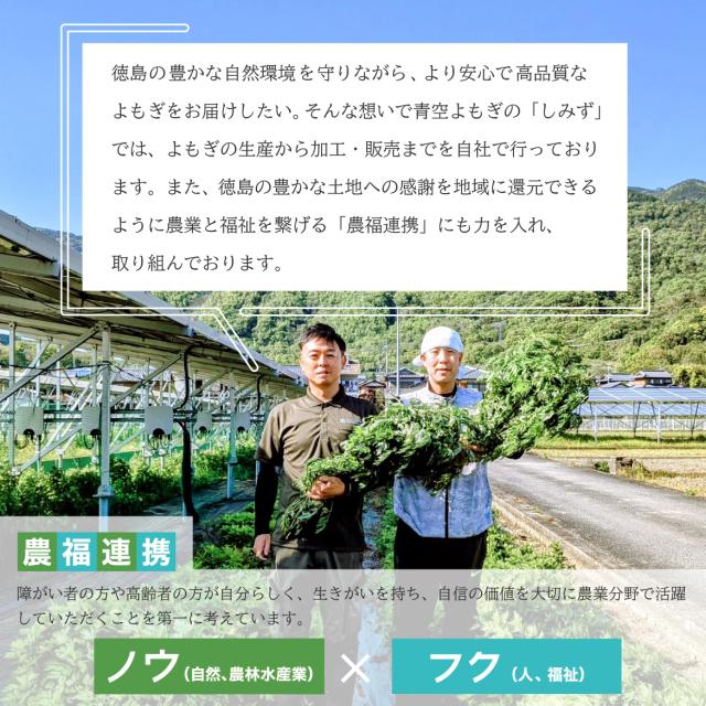 よもぎのお風呂 よもぎ風呂 よもぎ 天然入浴剤 国産 無農薬 無添加 無着色 赤ちゃんも使える 敏感肌 エメラルドよもぎ
