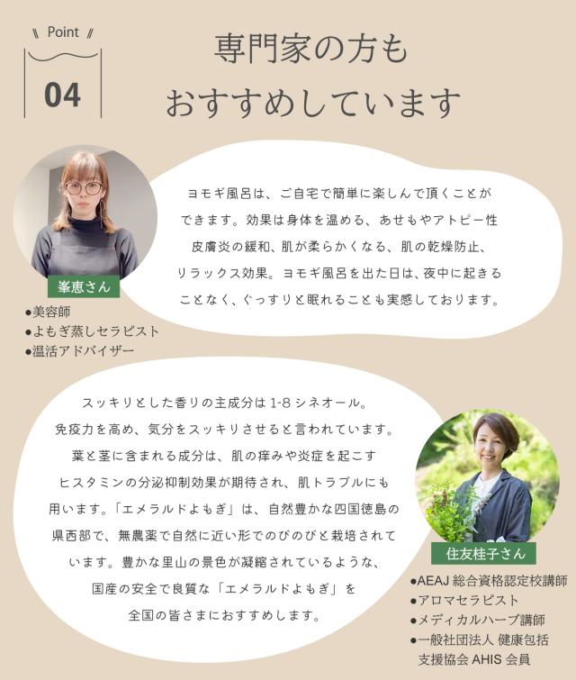 よもぎのお風呂 よもぎ風呂 よもぎ 天然入浴剤 国産 無農薬 無添加 無着色 赤ちゃんも使える 敏感肌 エメラルドよもぎ