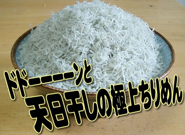 送料無料 送料無料 新物 兵庫県淡路島産など 干しちりめん 神戸ちりめん 産地箱 業務用 ５ｋｇ淡路島ちりめんの特徴はしっとりソフトな干 超特価激安 Www Iacymperu Org