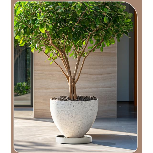 観葉植物 移動台