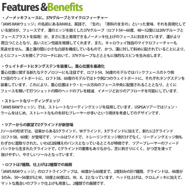 2022年モデル日本正規品30％OFF キャロウェイ ゴルフ ジョーズ ロウ ウェッジ クロム仕上げ 軟鉄鋳造 N.S.PRO 950GH neo スチールシャフト 「Callaway JAWS RAW wedge」