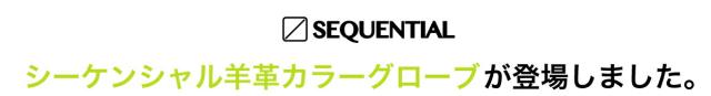 シーケンシャル羊革カラーグローブが登場しました。